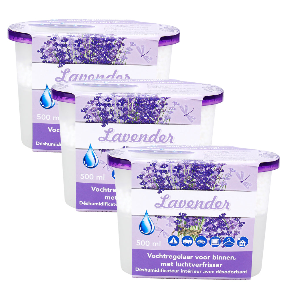🌿 ABSORBEUR D'HUMIDITÉ ANTI-HUMIDITÉ
